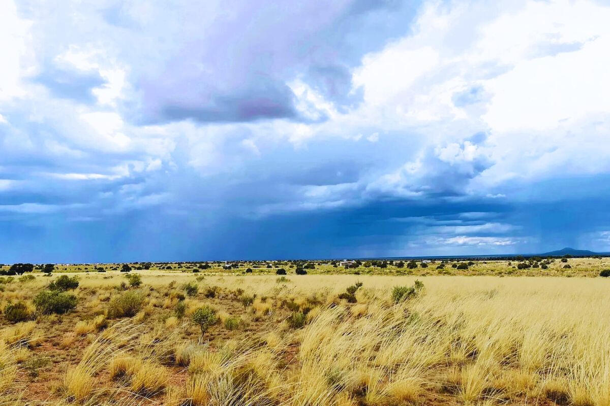 Deep 9 - 722 S WEDGEWOOD DR WILLIAMS, AZ 86046