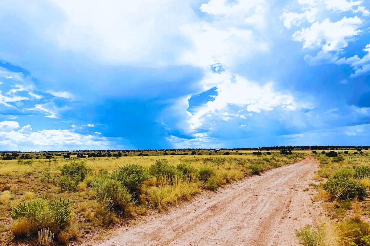 Deep 9 - 722 S WEDGEWOOD DR WILLIAMS, AZ 86046