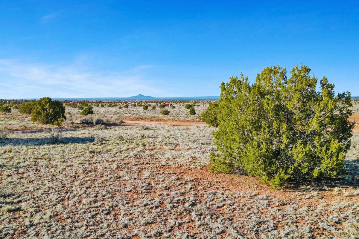 Deep 6 Lots of Trees - 880 S WEDGEWOOD DR WILLIAMS, AZ 86046