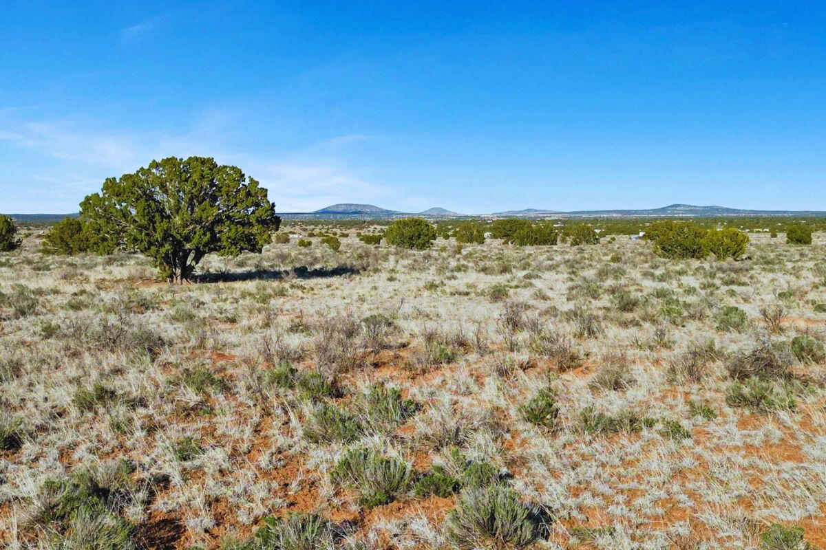 Deep 9 - 722 S WEDGEWOOD DR WILLIAMS, AZ 86046