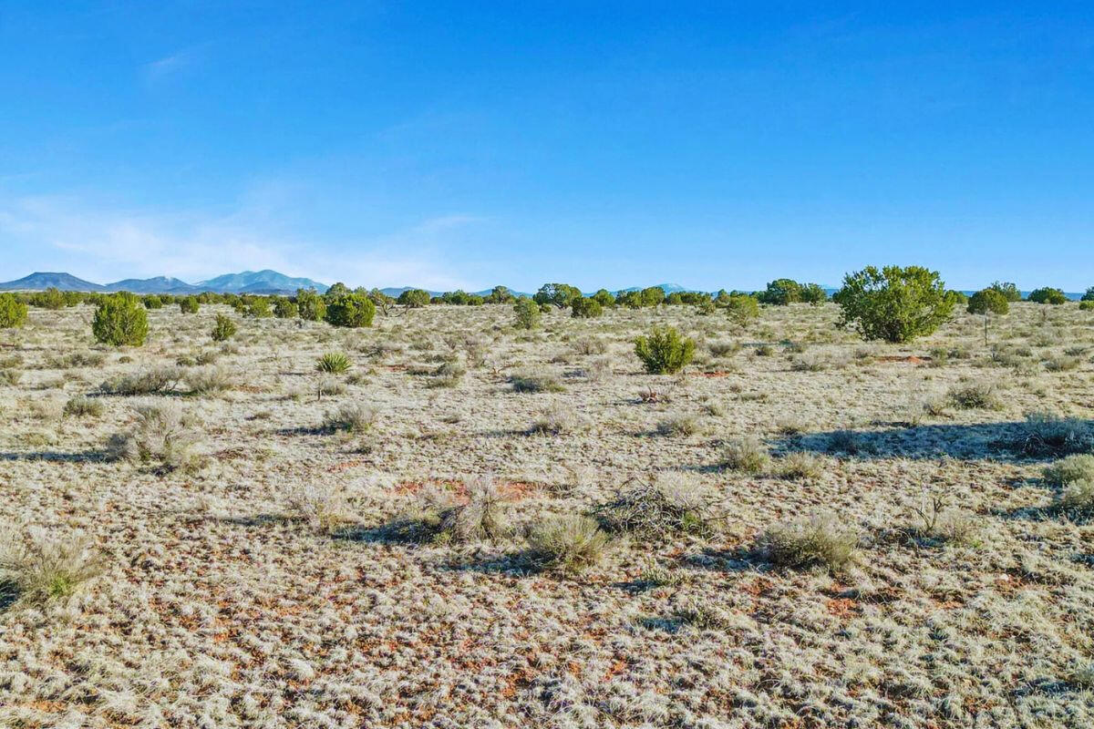 Deep 9 - 722 S WEDGEWOOD DR WILLIAMS, AZ 86046